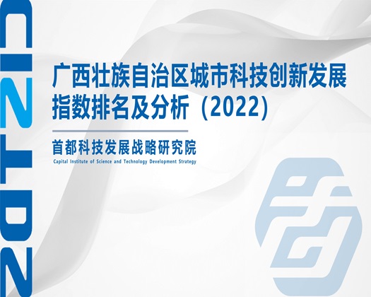 插鸡巴视频网站+网站【成果发布】广西壮族自治区城市科技创新发展指数排名及分析（2022）